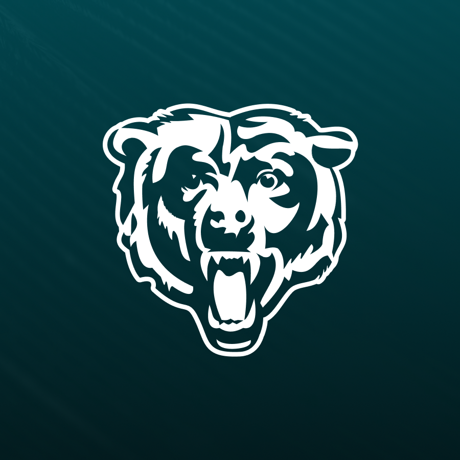 Week 13 - Chicago Bears