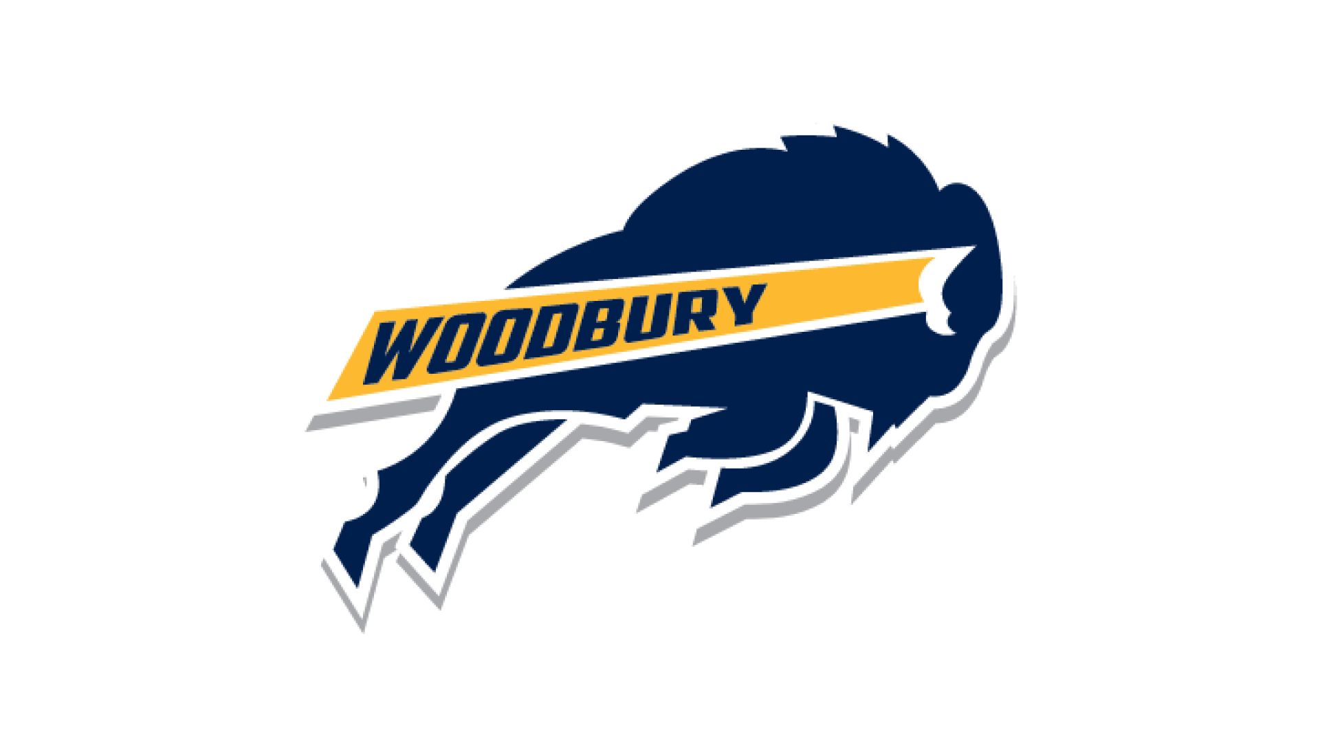 Woodbury High School