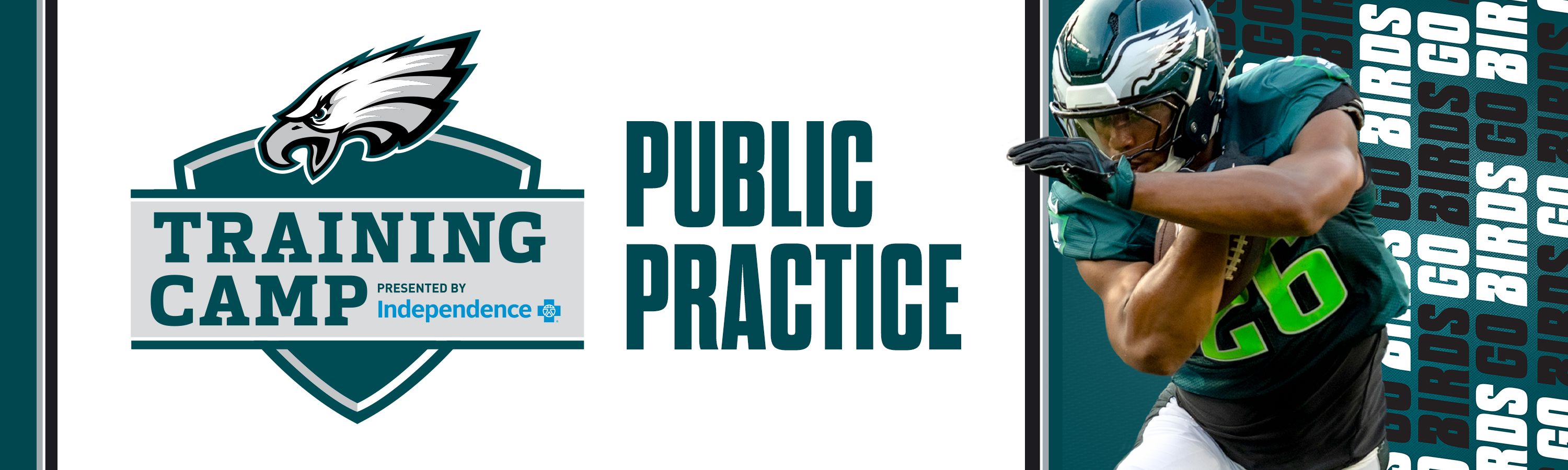 3000x900-TC-PublicPractice