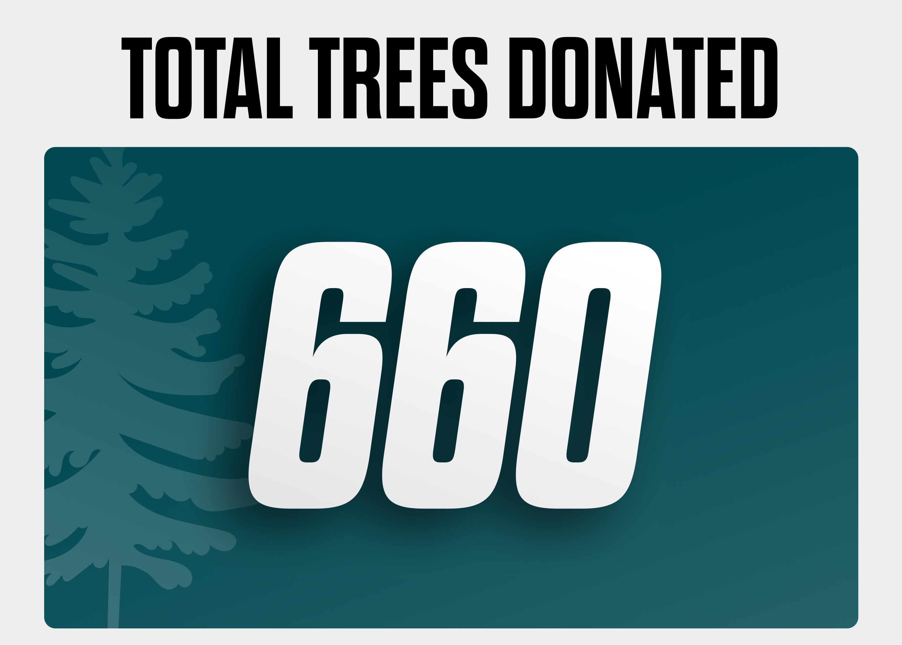Total Trees Donated (15)