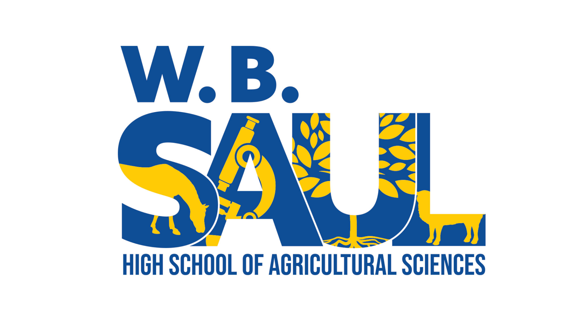 Walter B. Saul High School