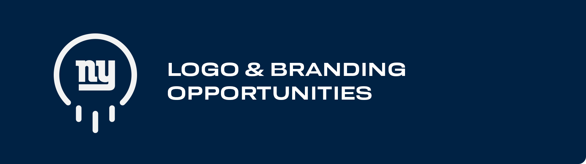 LogoandBranding copy