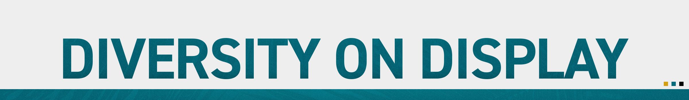 DIVERSITY ON DISPLAY
