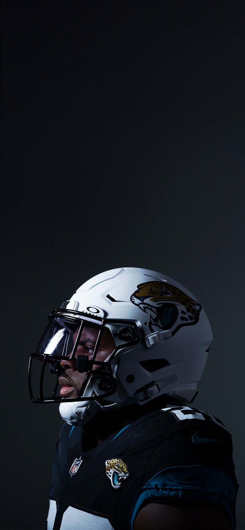 DT SIDE SHOT ALT HELMET WALLPAPER