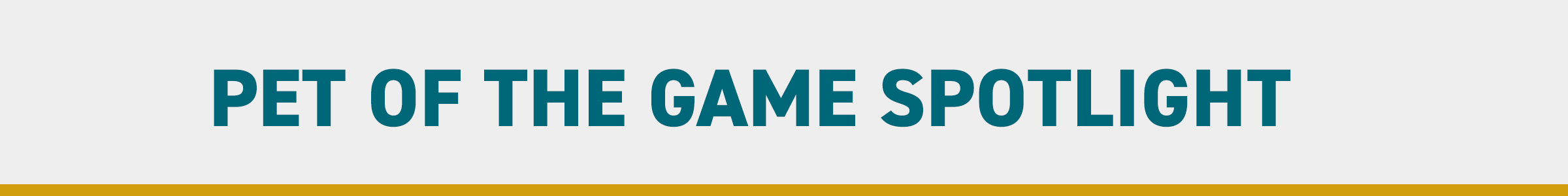 Pet of the Game Spotlight Banner