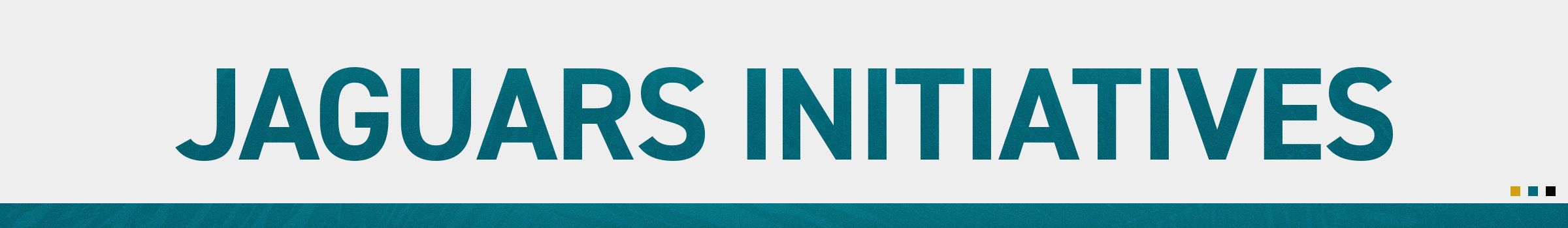 JAGUARS INIATIVES