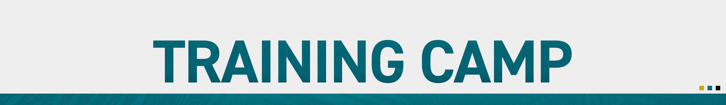 Your Jaguars Guide to Training Camp