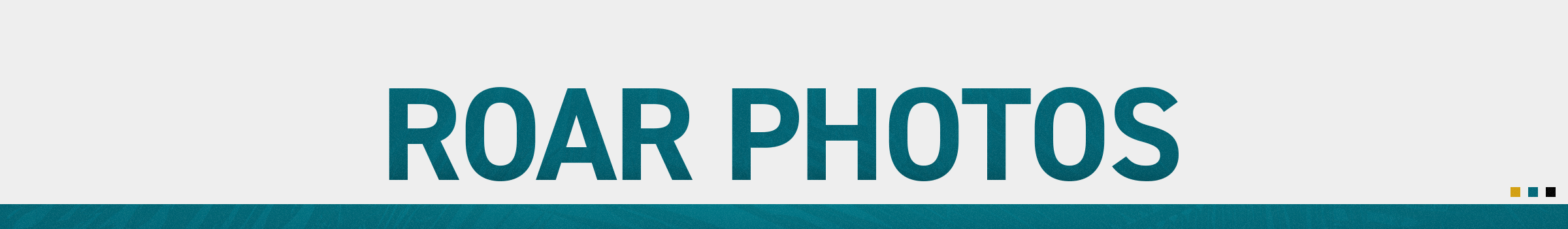 ROAR TITLE