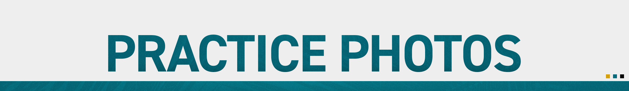 Practice Photo Title