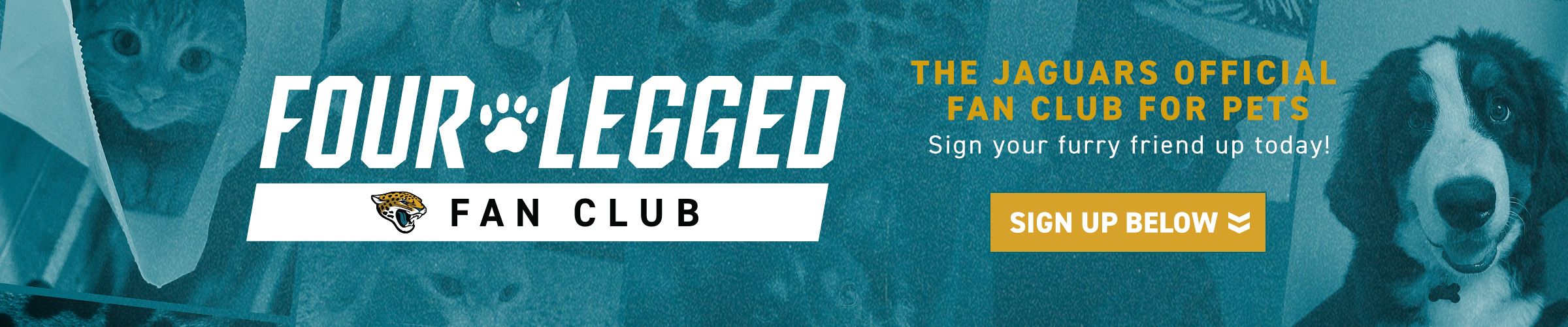 FLFC-LandingPageHeader-2400x500