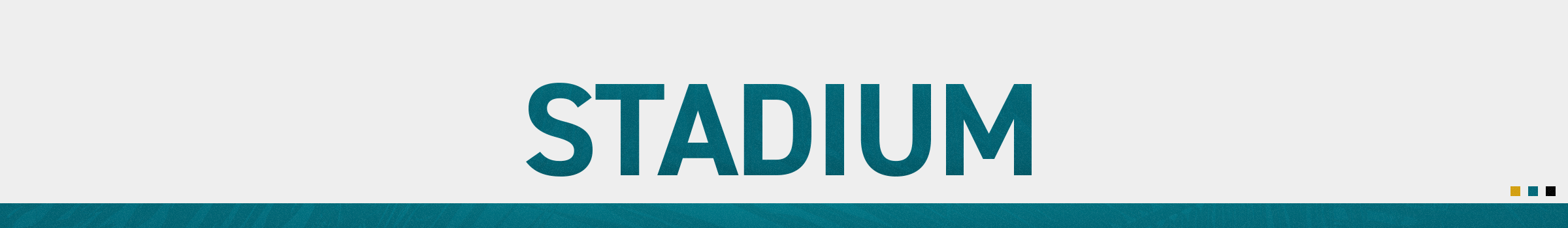 STADIUM PAGE HEADER - STANDARD SIZE