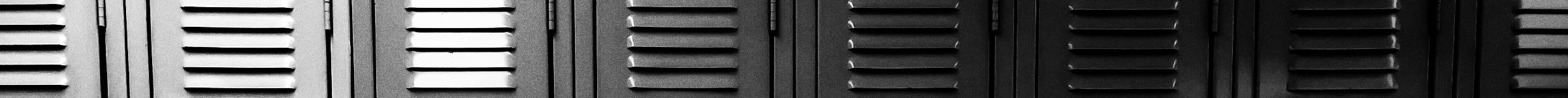 2400x150-SITE-DIVIDER-2