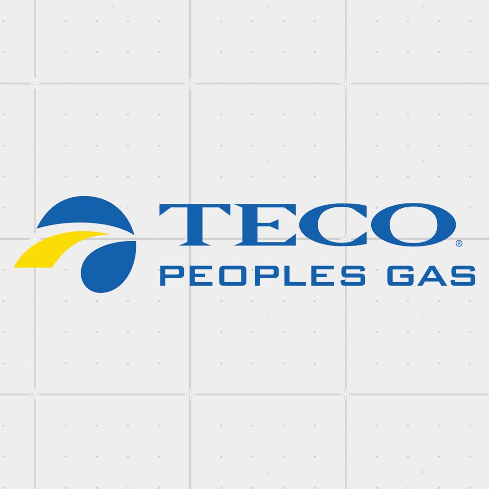 TECO LOGO