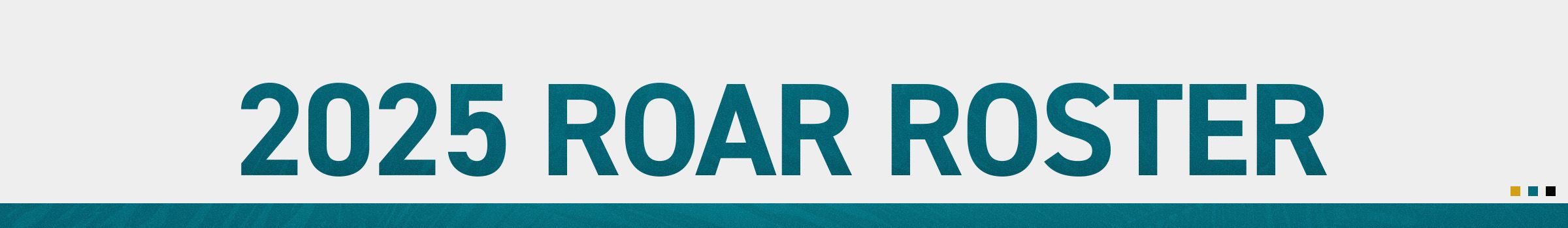 2025 ROAR ROSTER