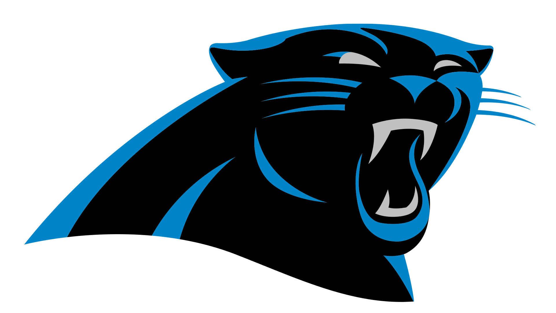 Carolina Panthers