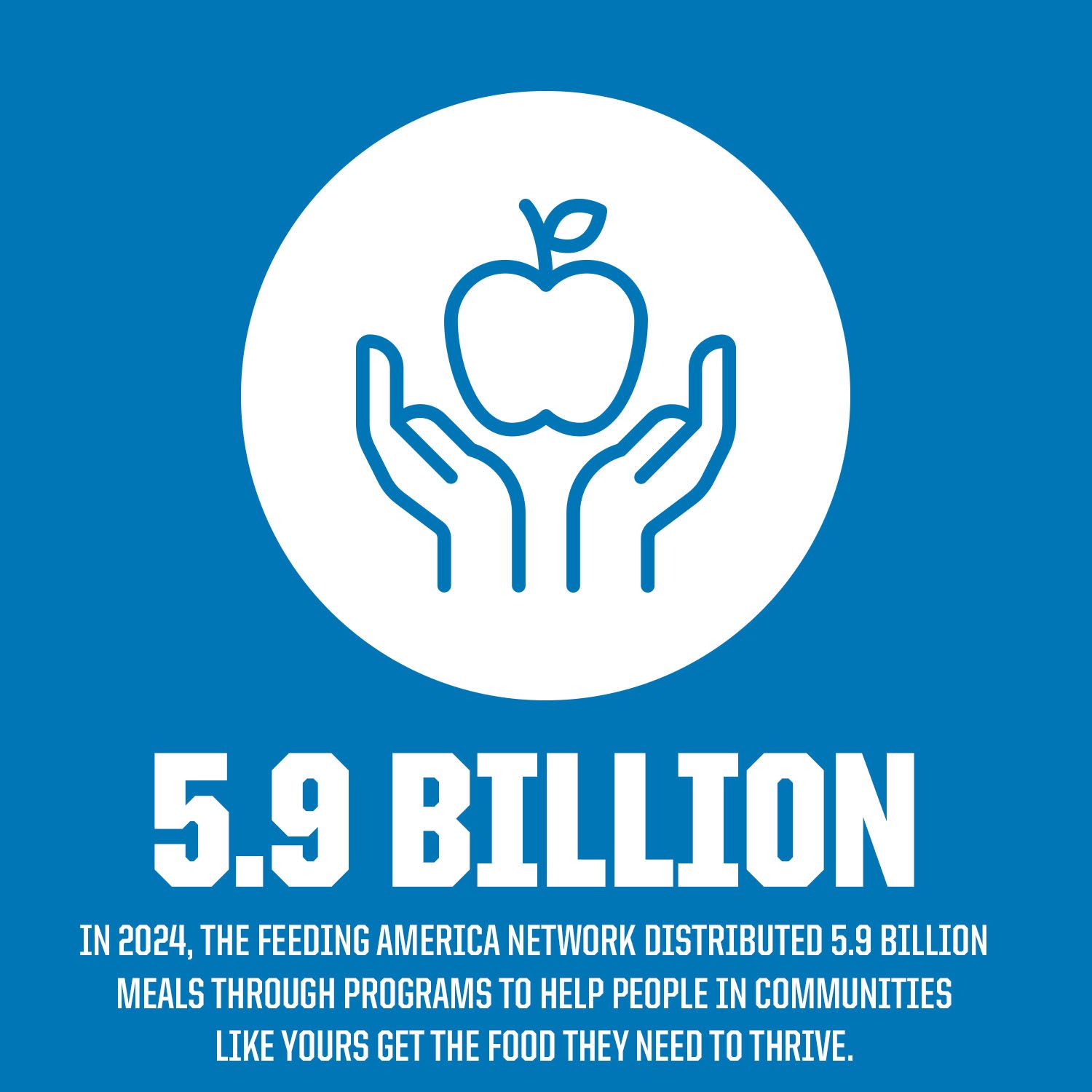 CS25_0535 Lions Foundation Flag Microsite 1500x1500 copy 13