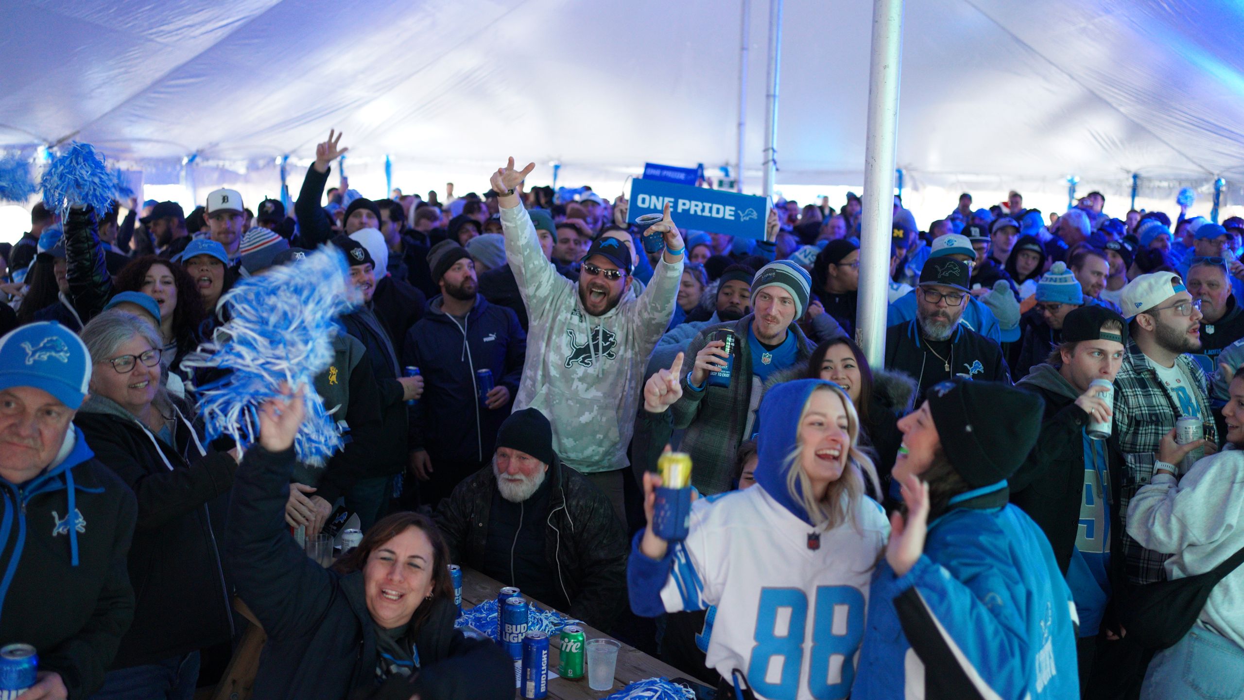 windsor-block-viewing