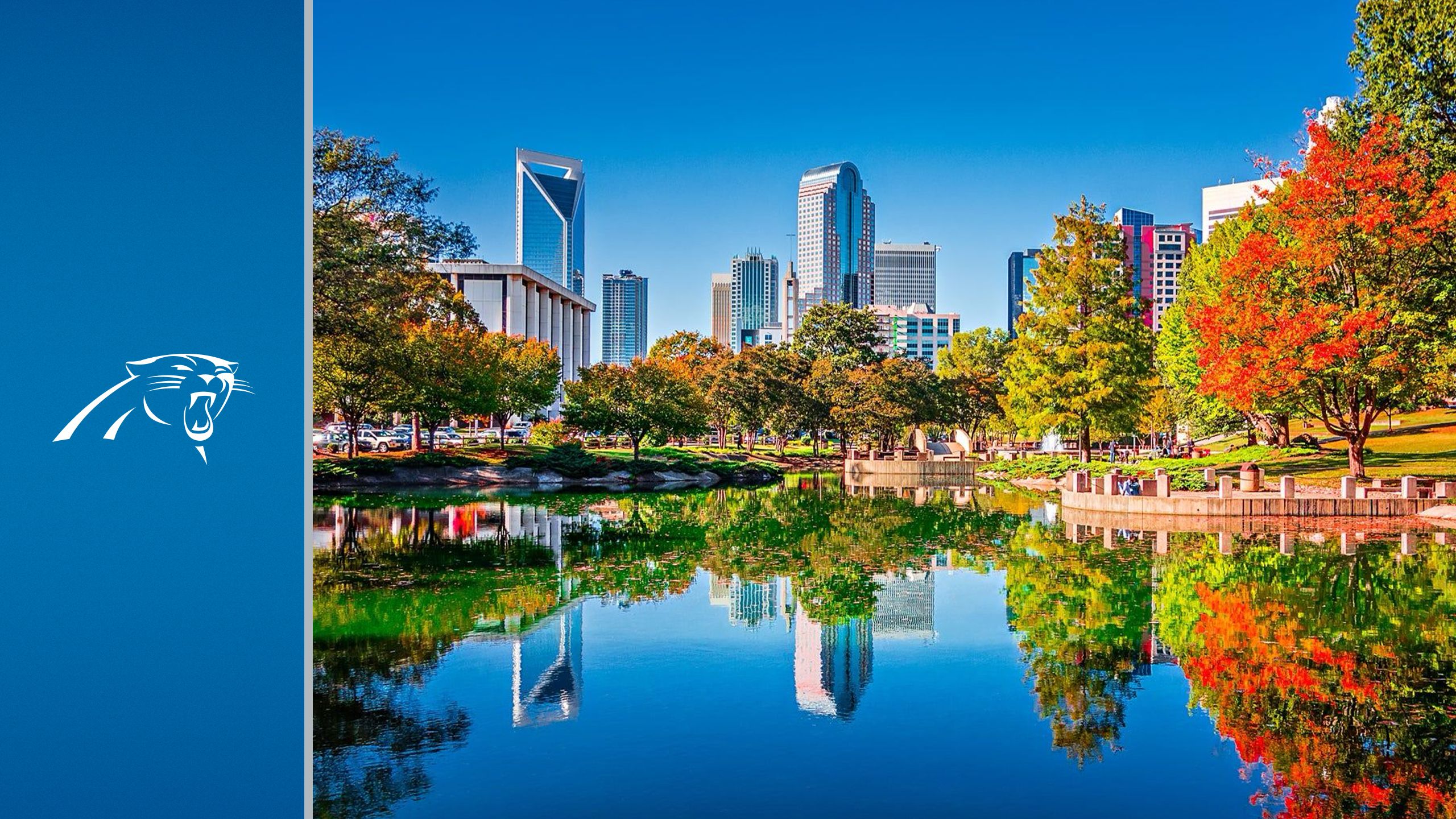 Lions Travel Guide - Views of Charlotte