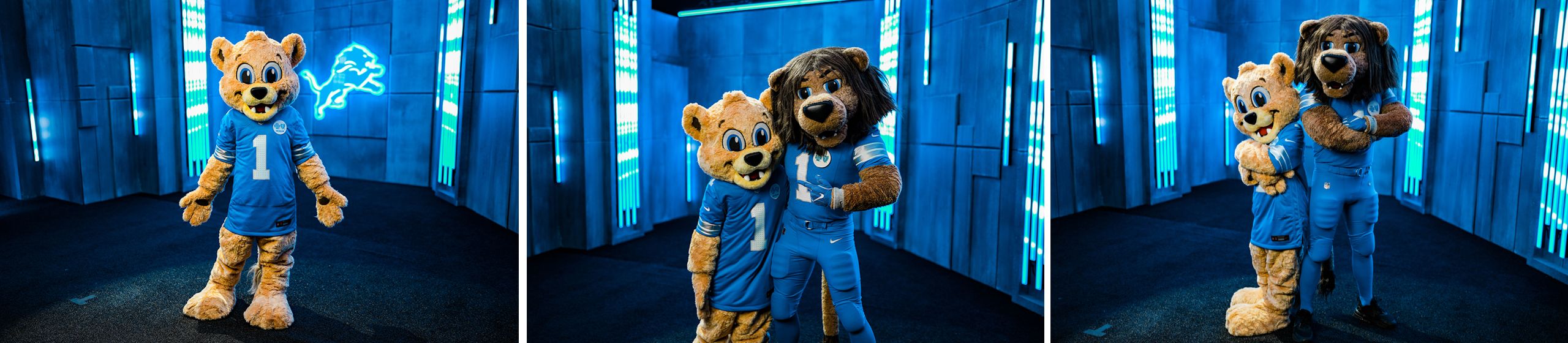 junior-roary-sweepstakes-footer