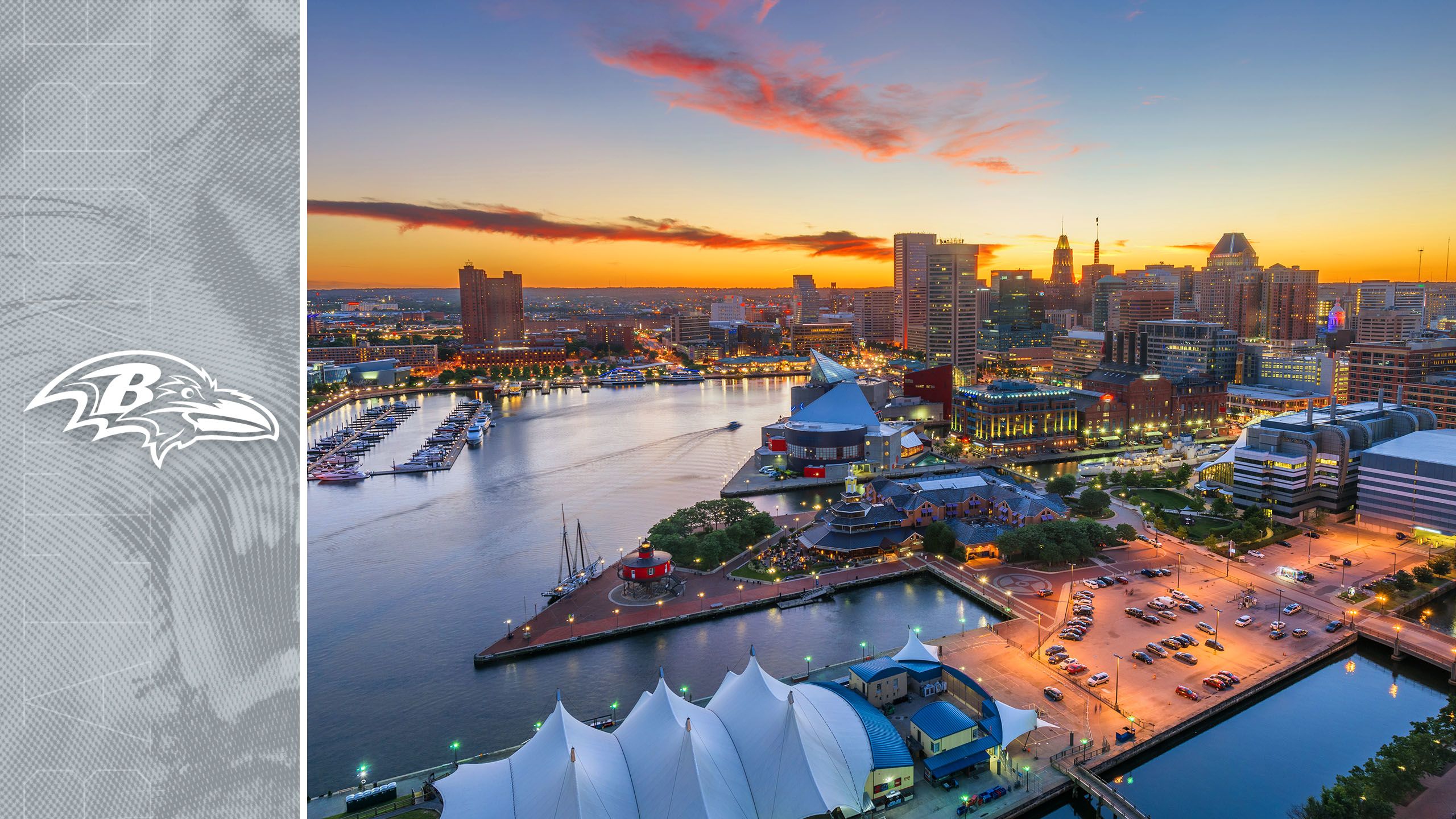 Lions Travel Guide - Views of Baltimore