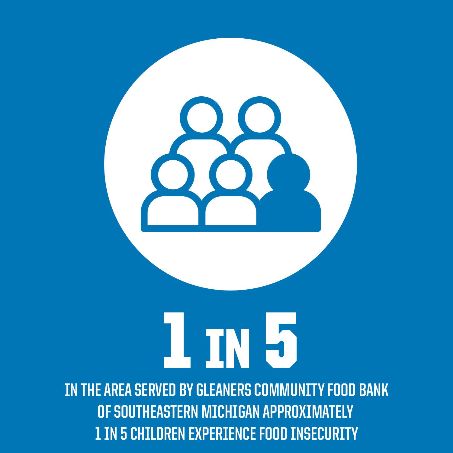 CS25_0535 Lions Foundation Flag Microsite 1500x1500 (1)