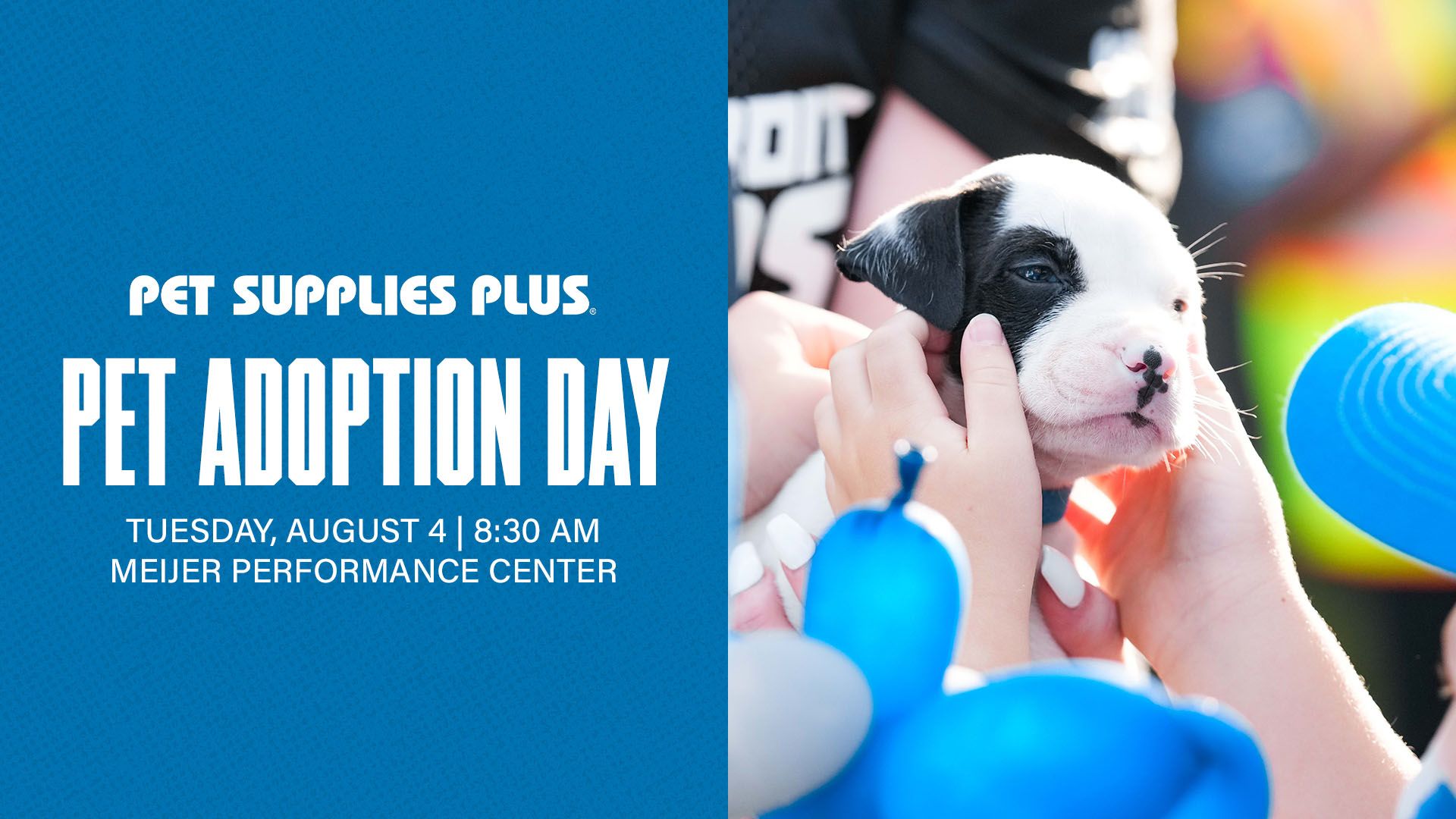 Pet Adoption Day Header