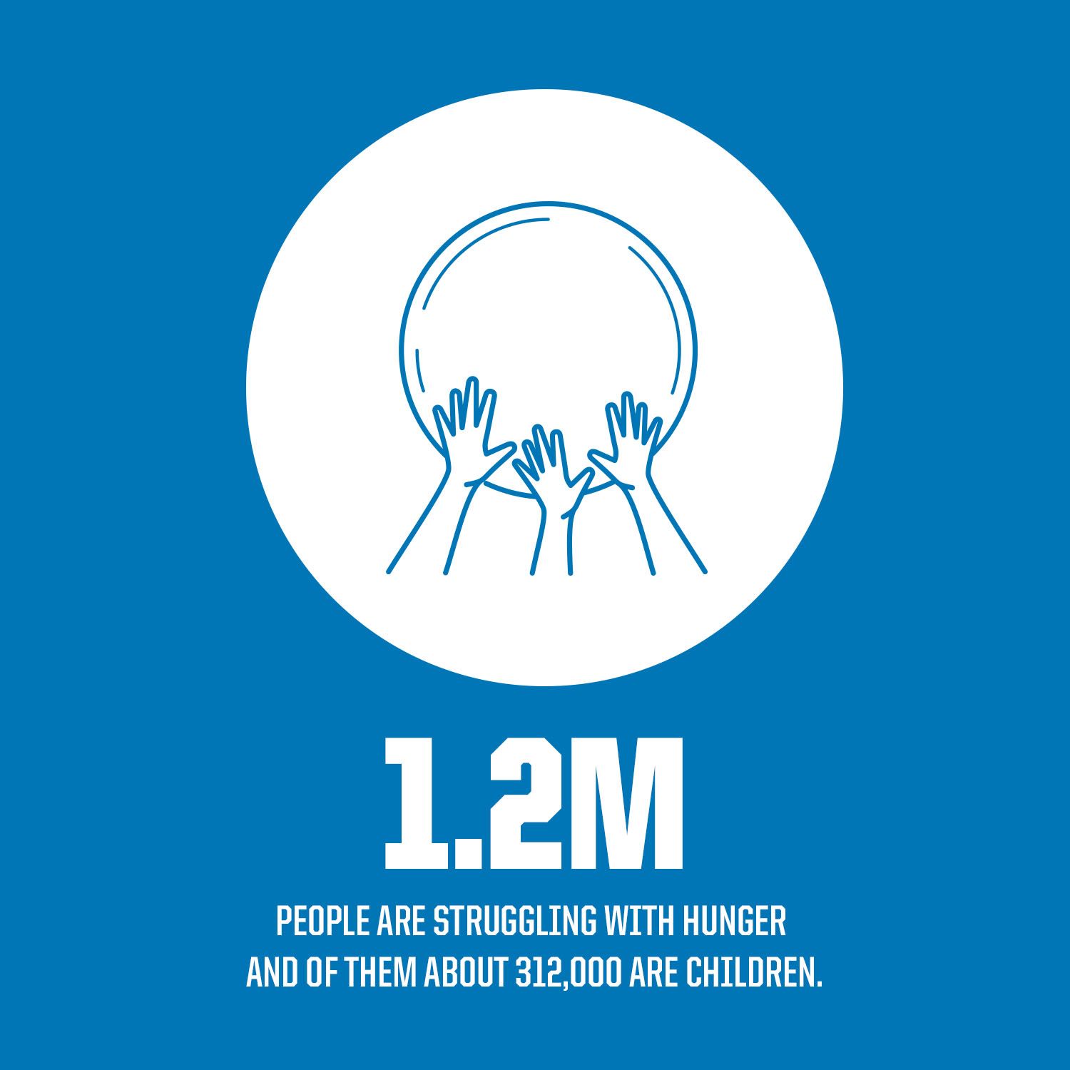 CS25_0535 Lions Foundation Flag Microsite 1500x1500 copy