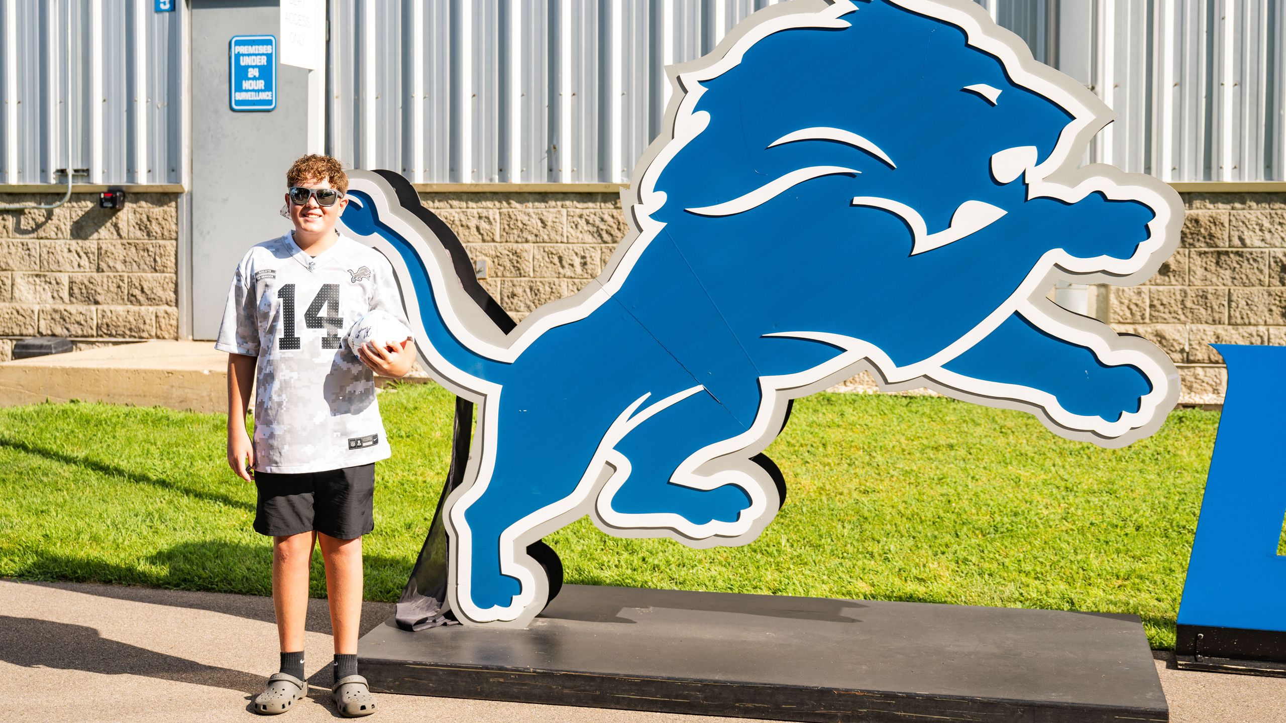 activities-leaping-lion