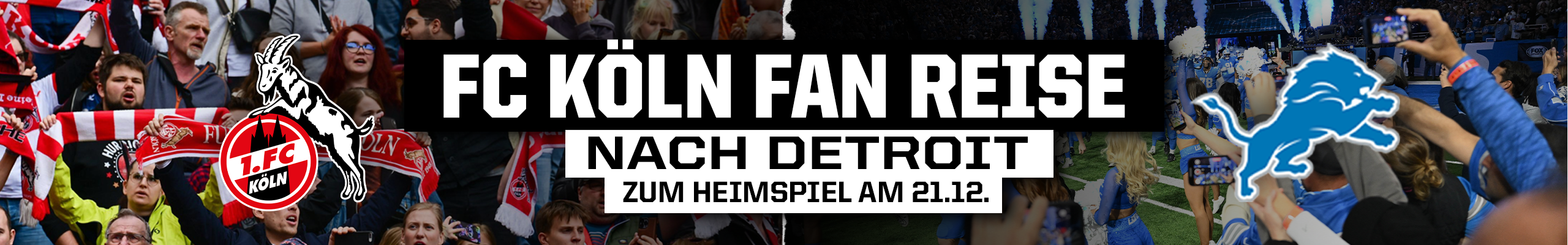 Zeichenfläche 2 (1)