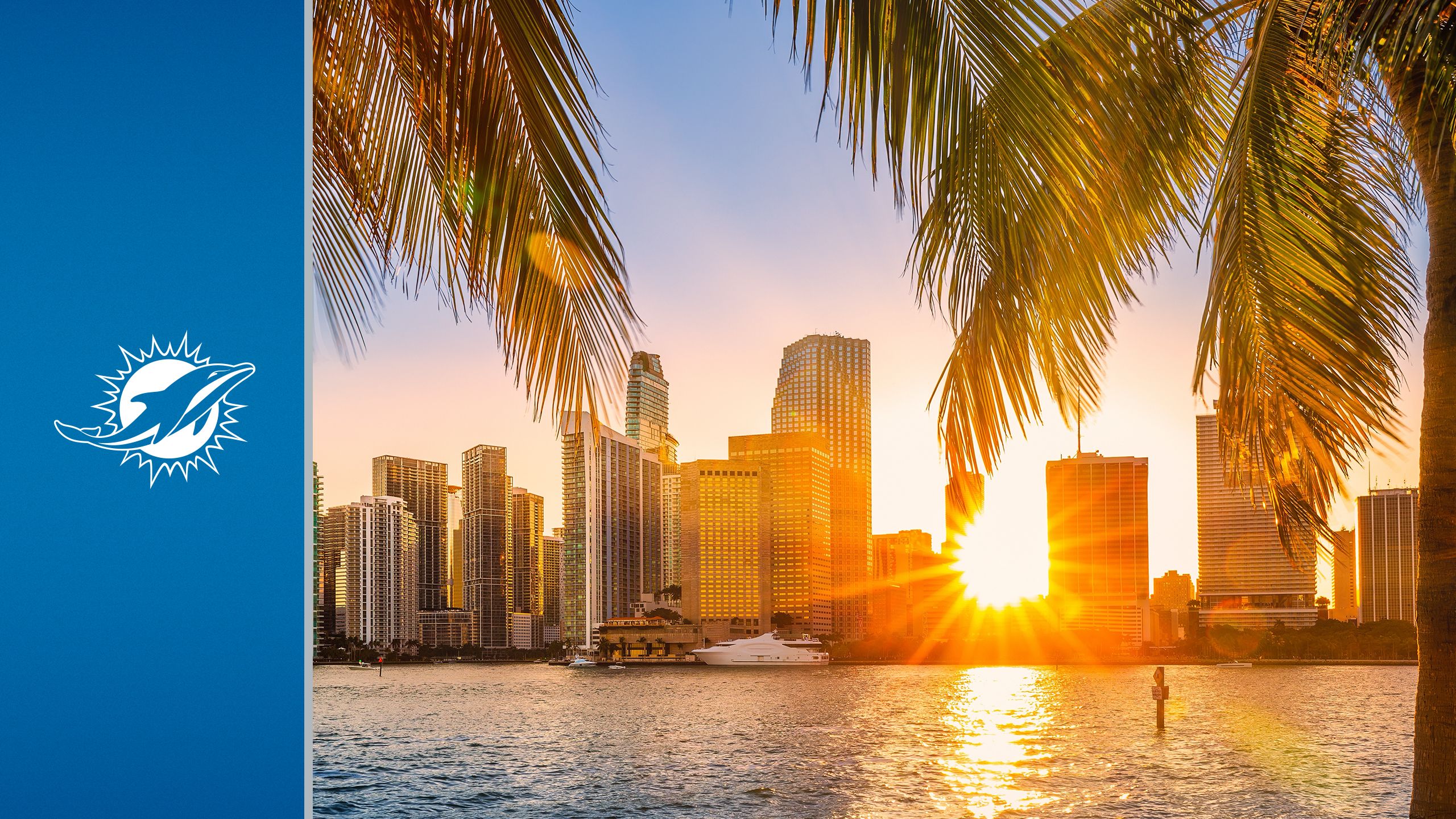 Lions Travel Guide - Views of Miami