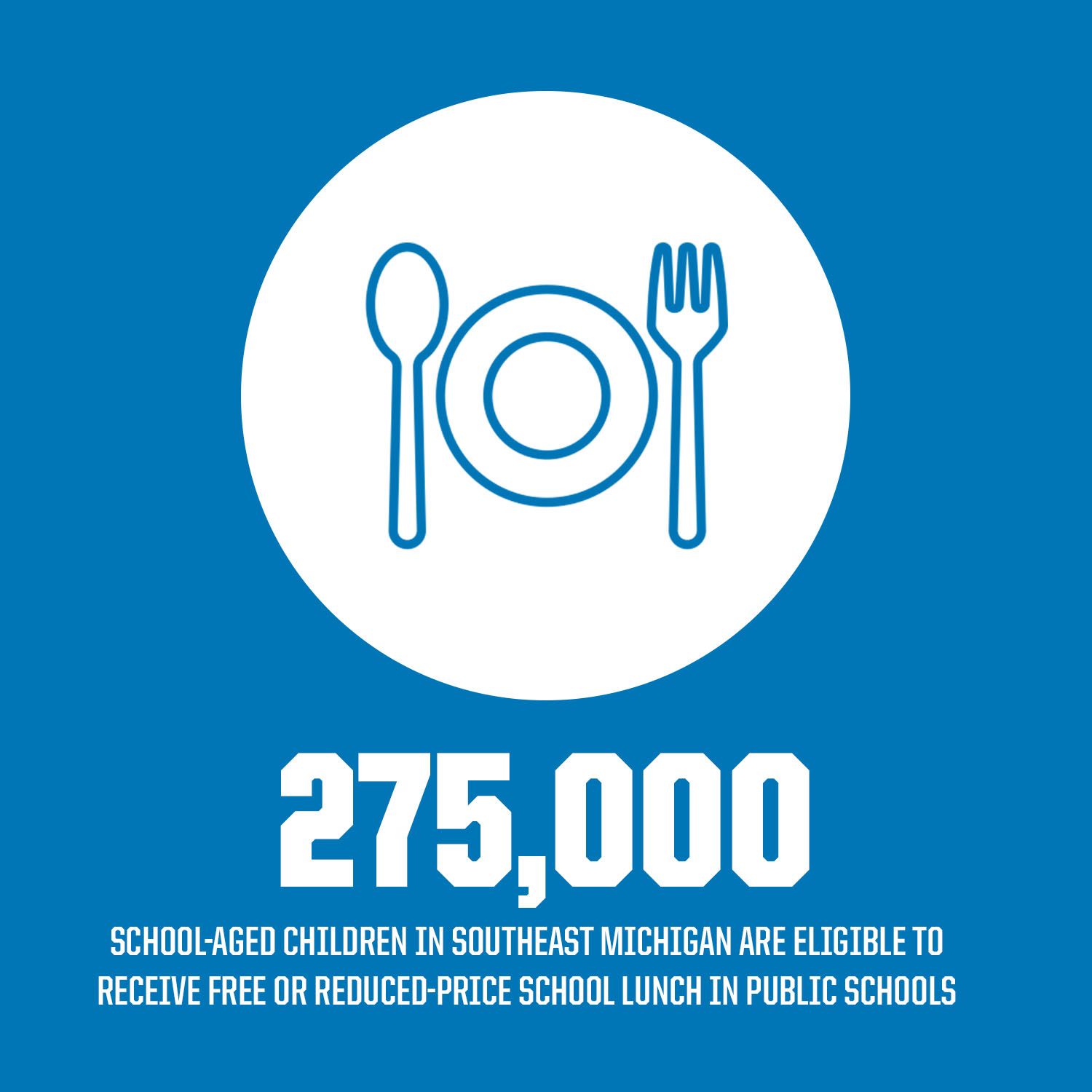 CS25_0535 Lions Foundation Flag Microsite 1500x1500 copy 2