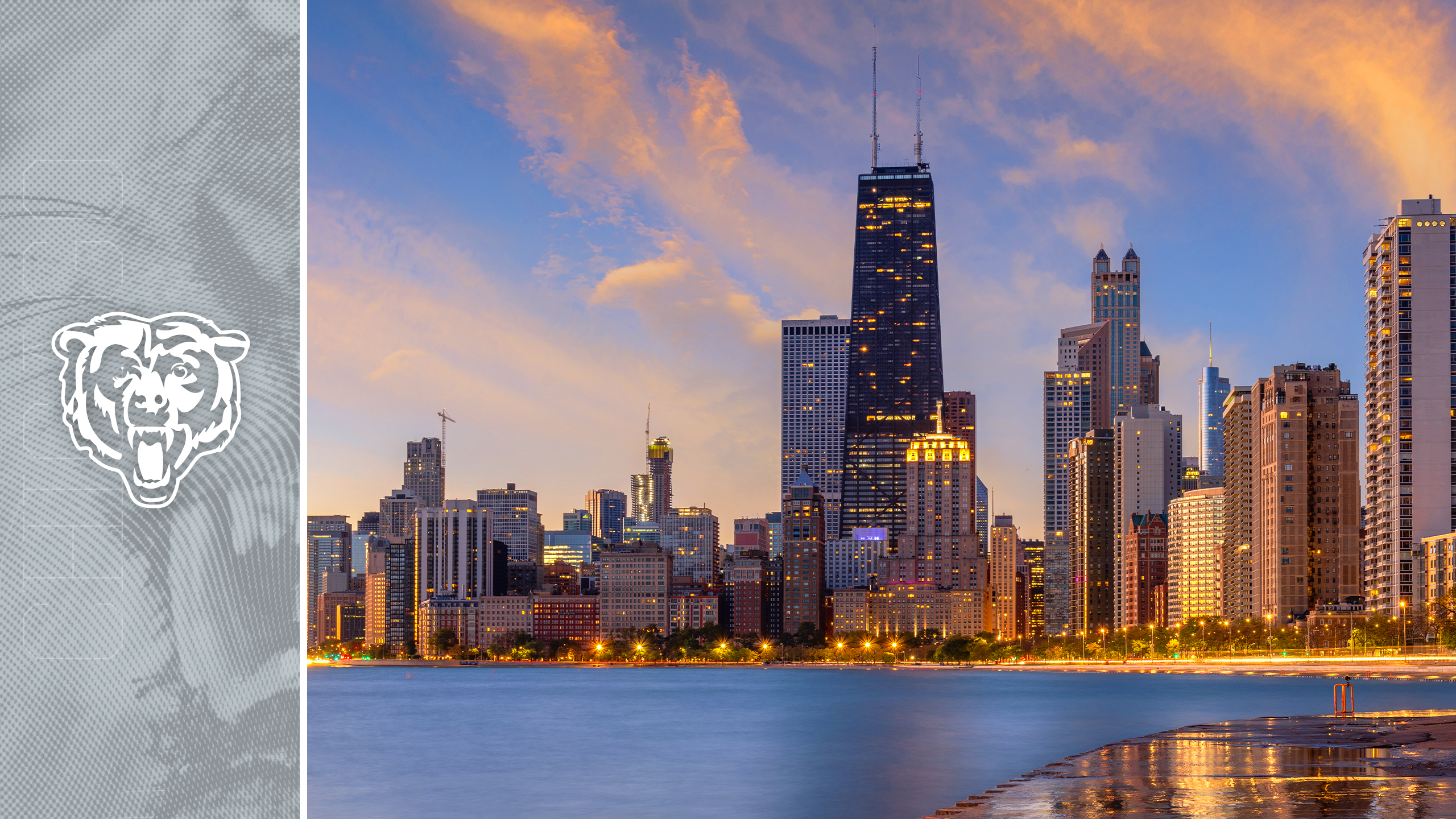 Lions Travel Guide - Views of Chicago