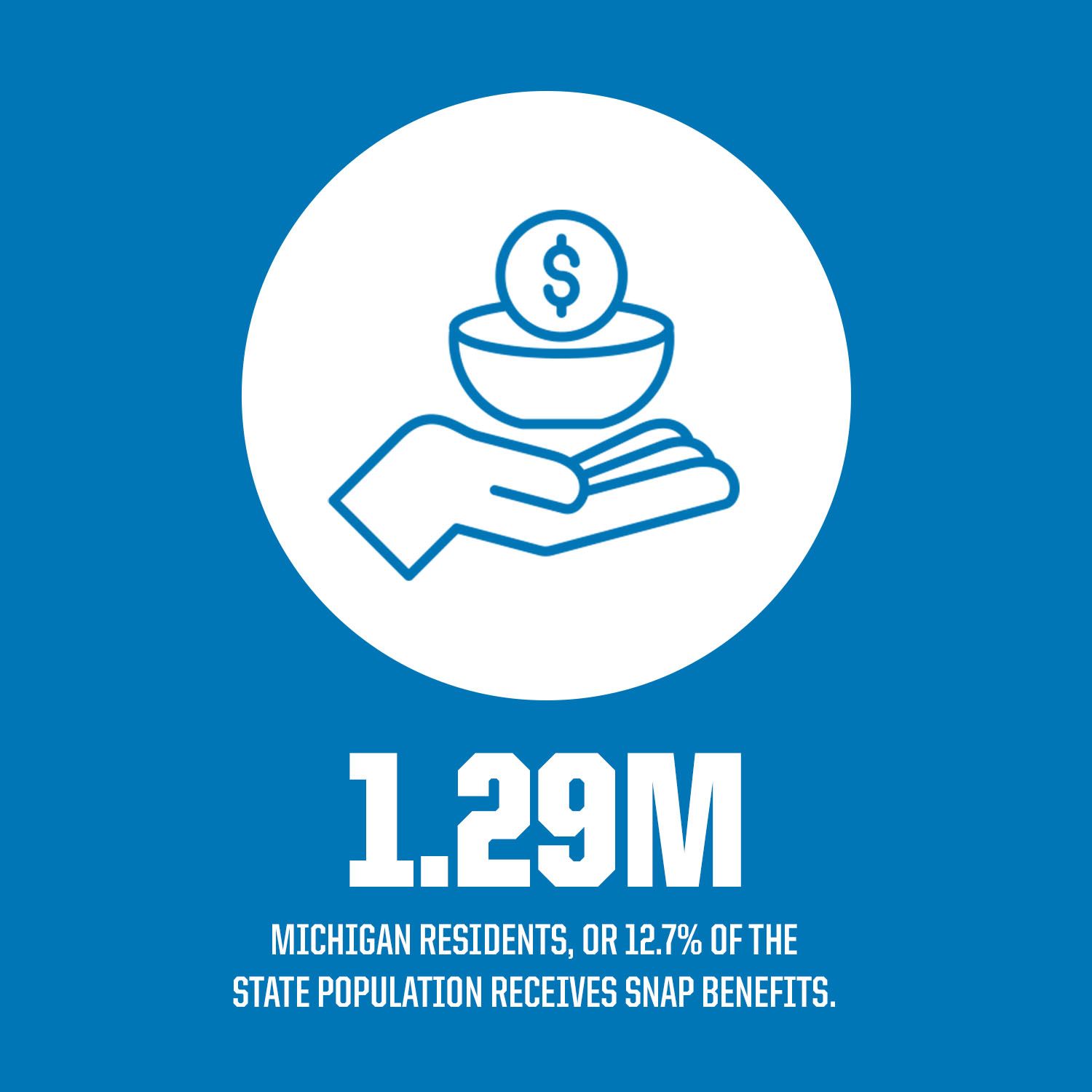 CS25_0535 Lions Foundation Flag Microsite 1500x1500 copy 3