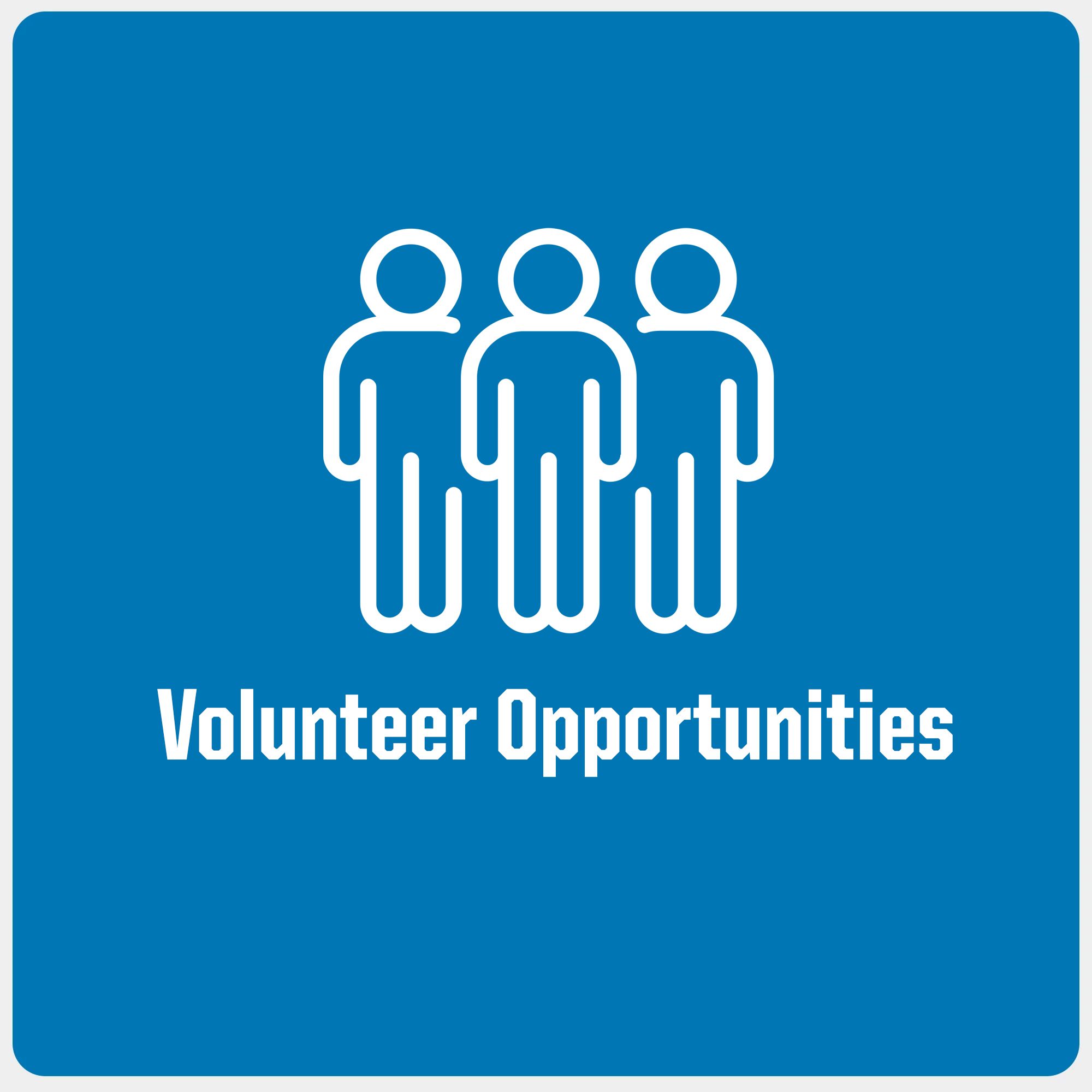 lady-lions-volunteer