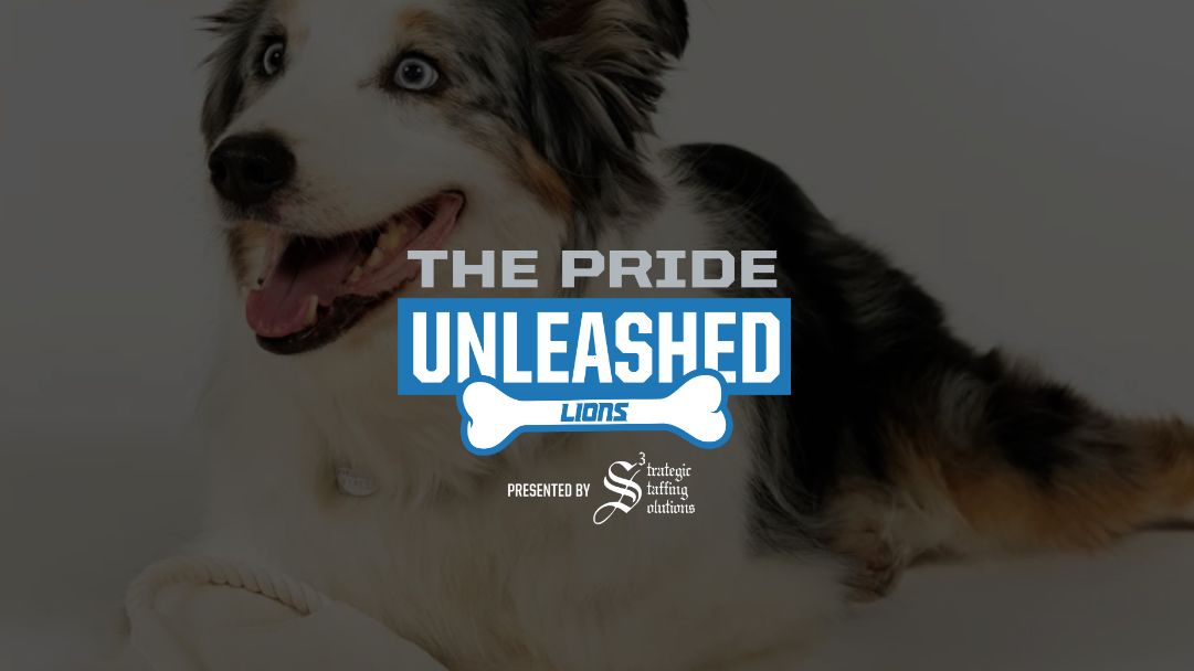 pride-unleashed-banner