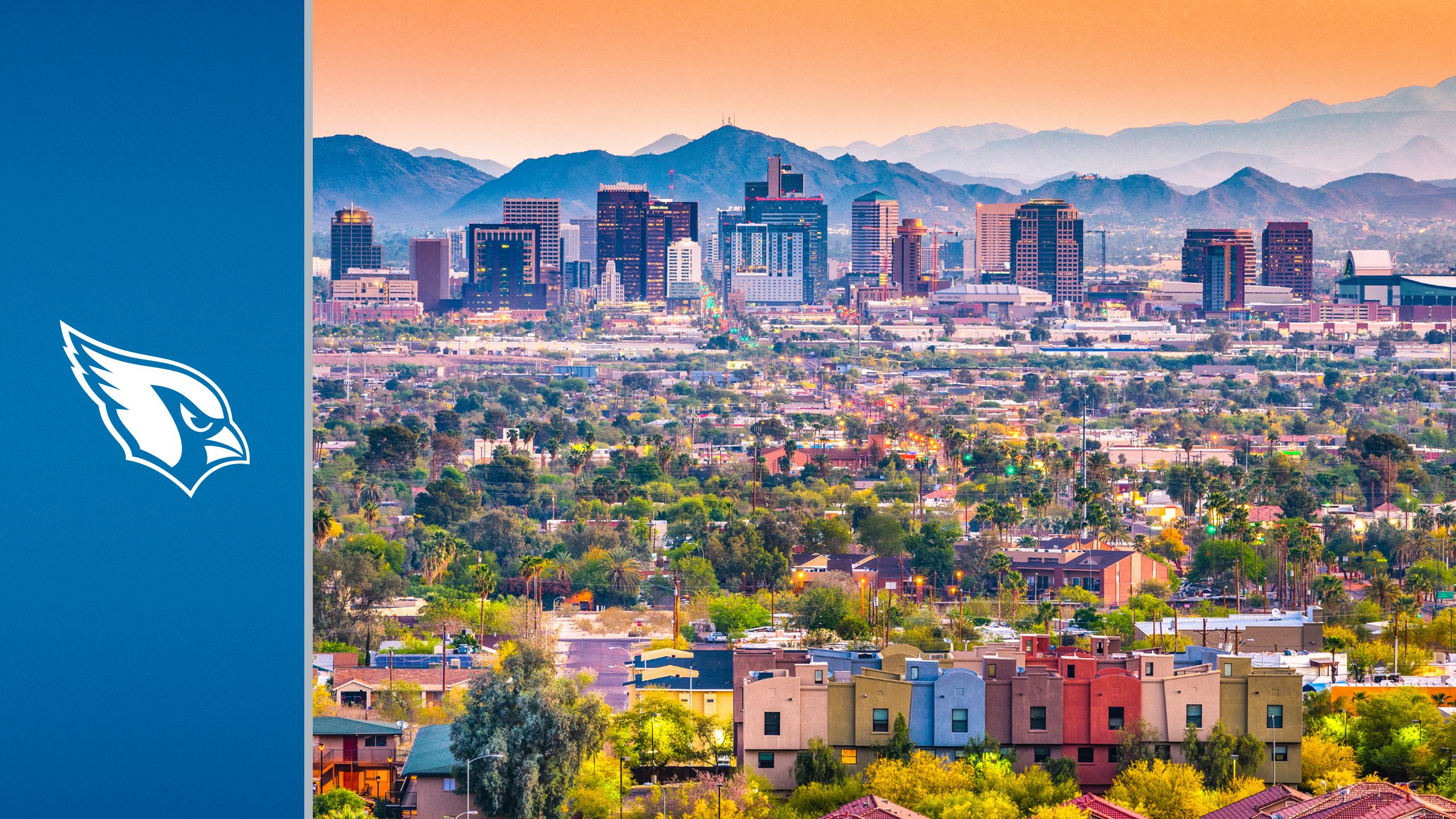 Lions Travel Guide - Views of Phoenix
