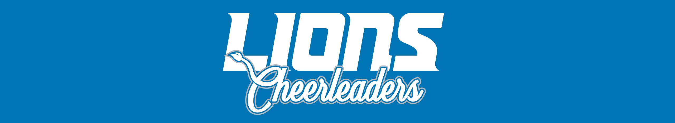 cheer-banner