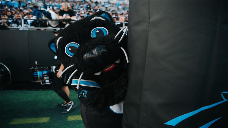Sir Purr