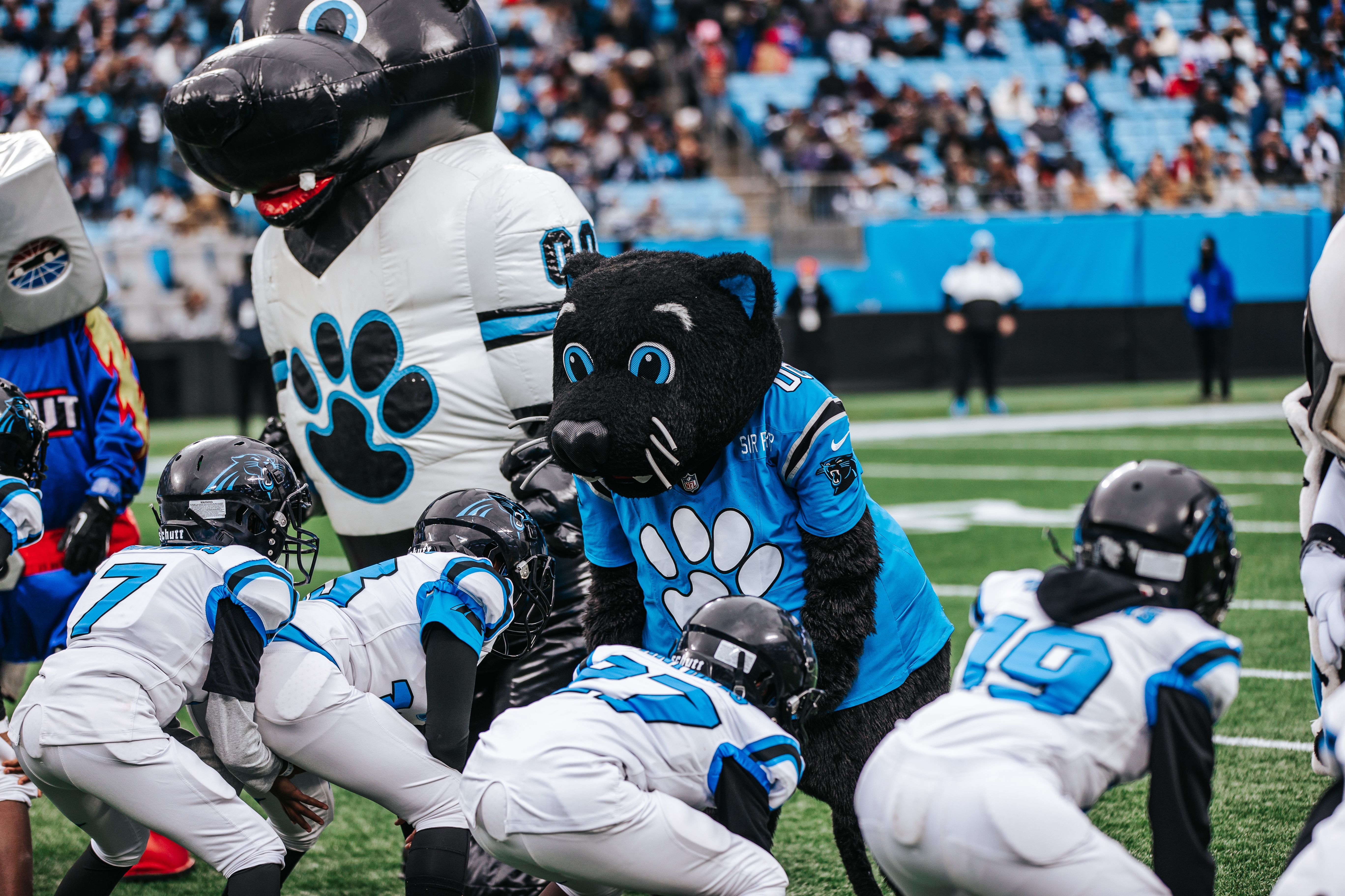 Halftime - Sir Purr Bowl 2025