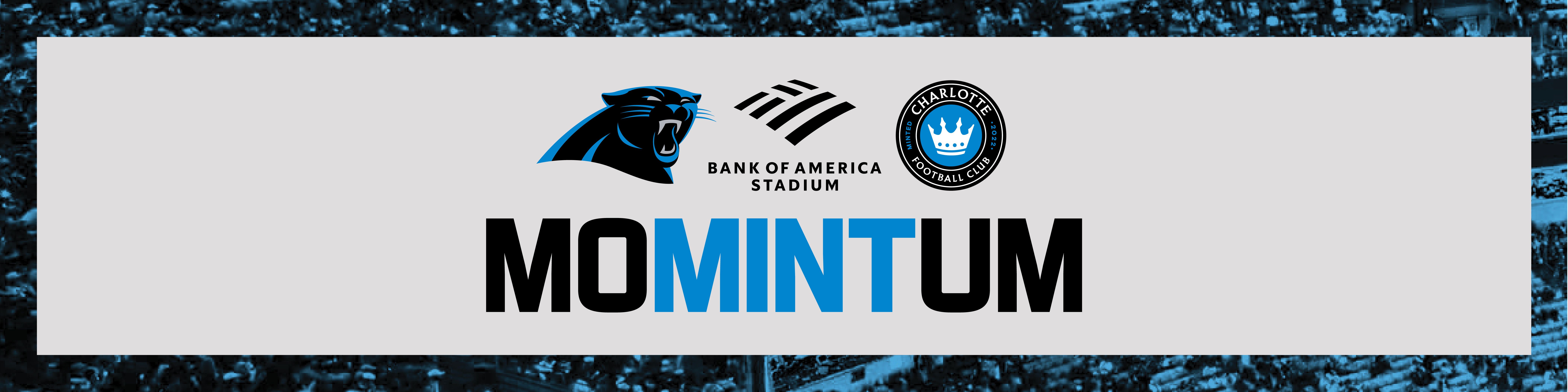 Momintum Media HeaderV2
