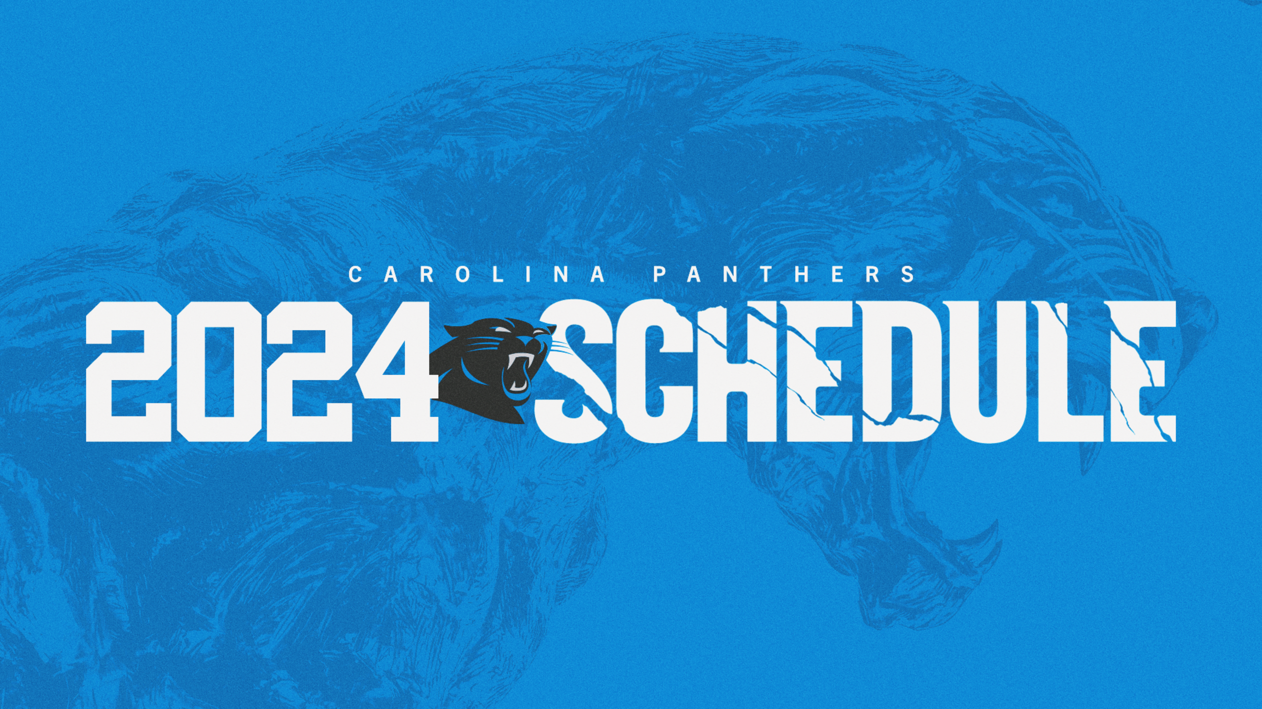 The Carolina Panthers 2024 schedule is here!
