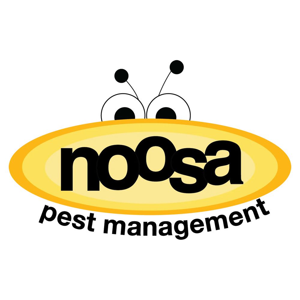 noosa