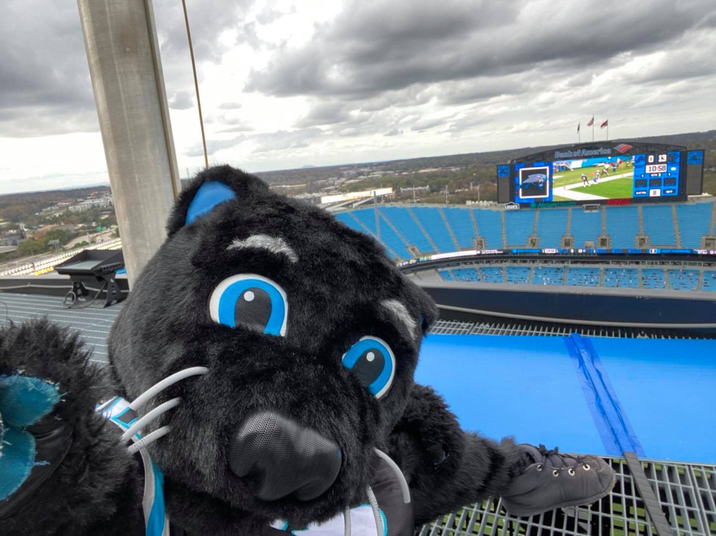 Halftime - Sir Purr Scoreboard Stunt & GMC Truck Giveaway