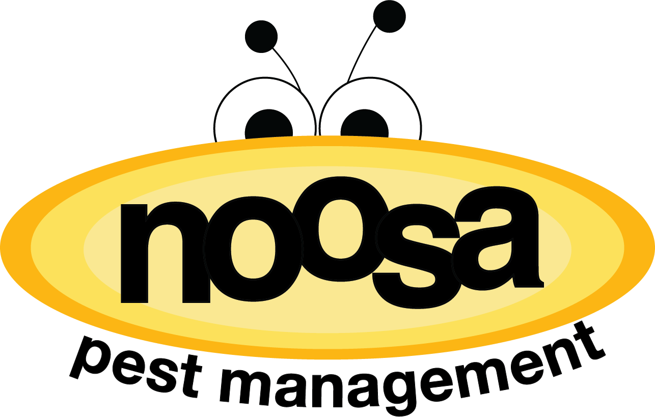 Noosa_WebsiteLogo