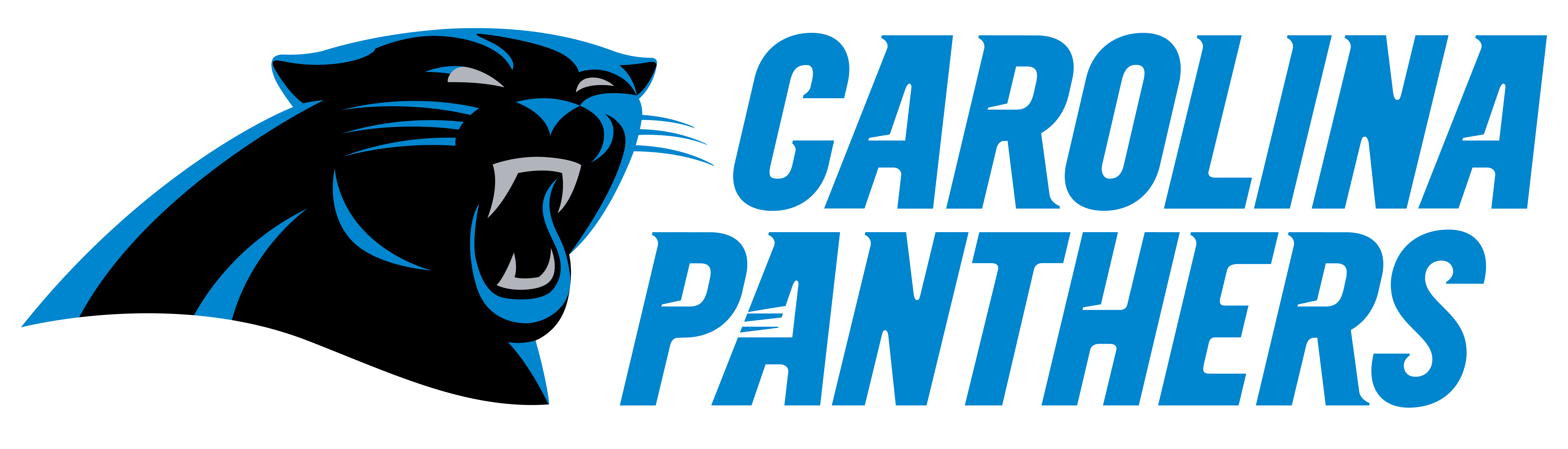 2026 Carolina Panthers Credential Information