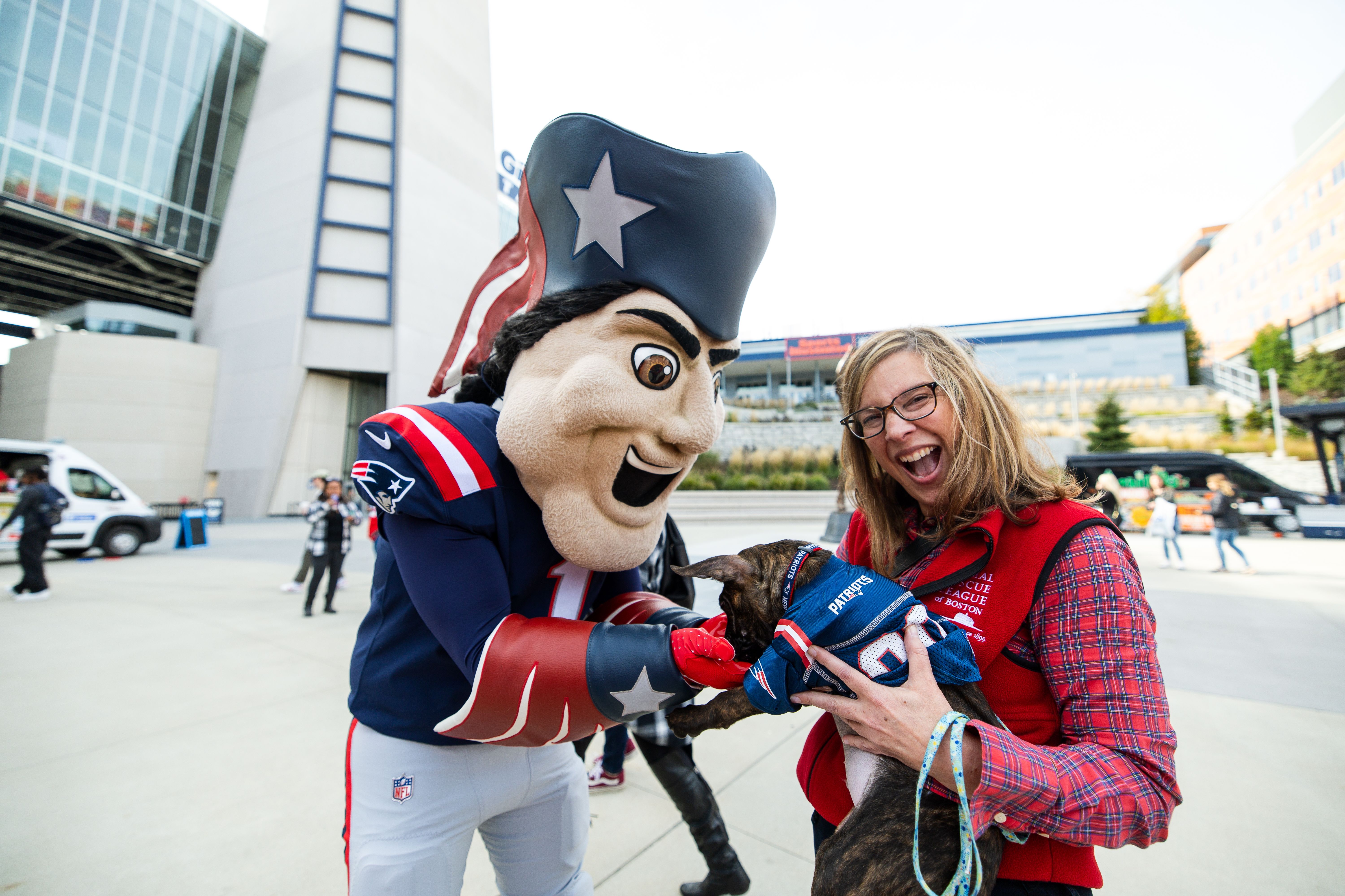 Dozens of dogs find forever home during Patriots 'Tailgate' watch party at Gillette Stadium