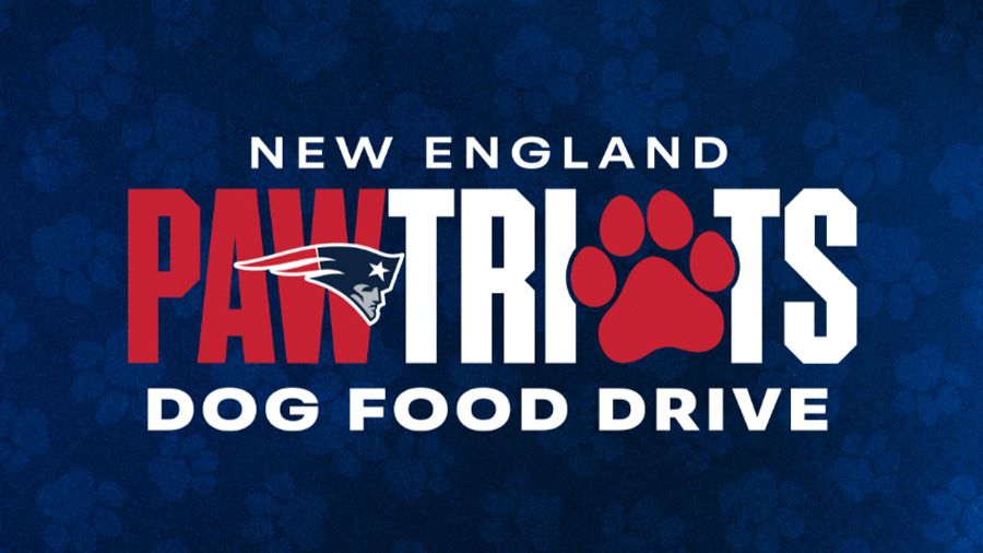 Help Us Make an Impact for Dogs in Need!