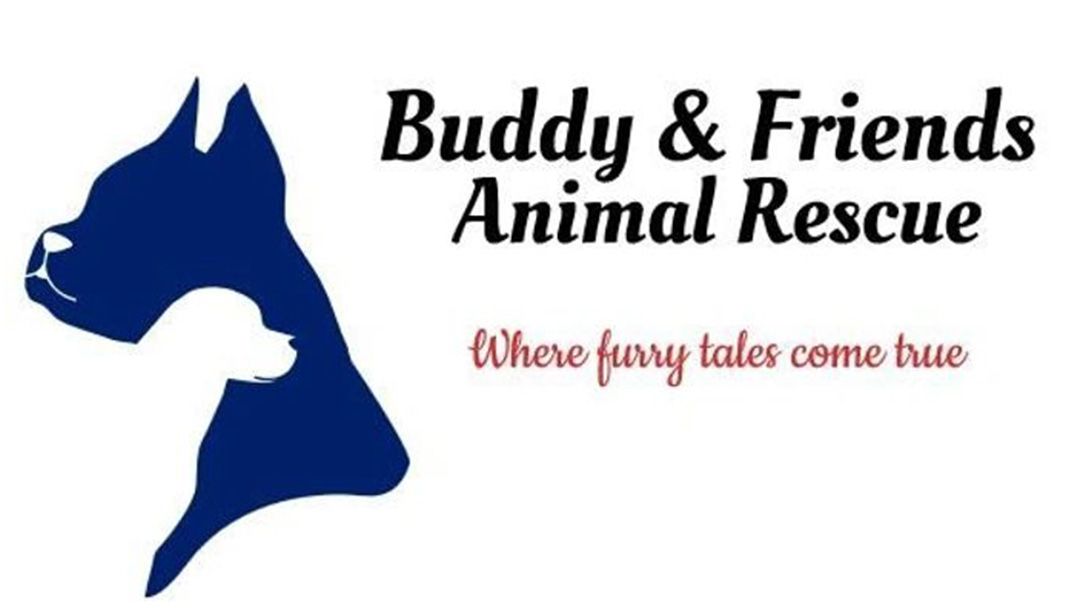 Buddy and Friends Animal Rescue
