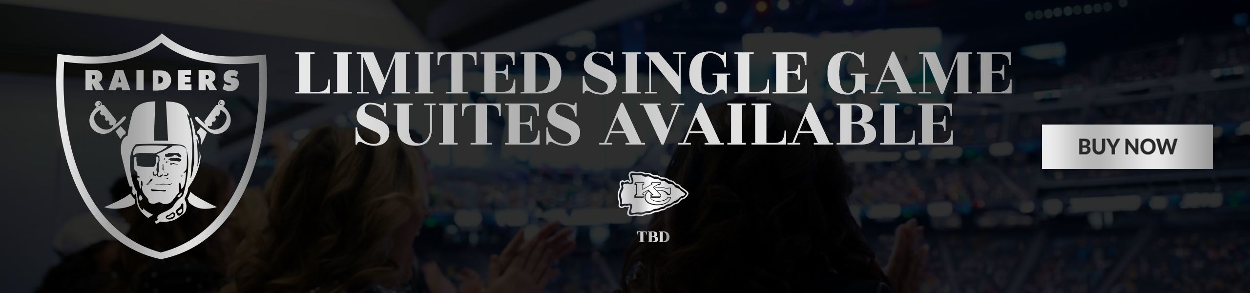 Las Vegas Raiders Premium Seating - View Now