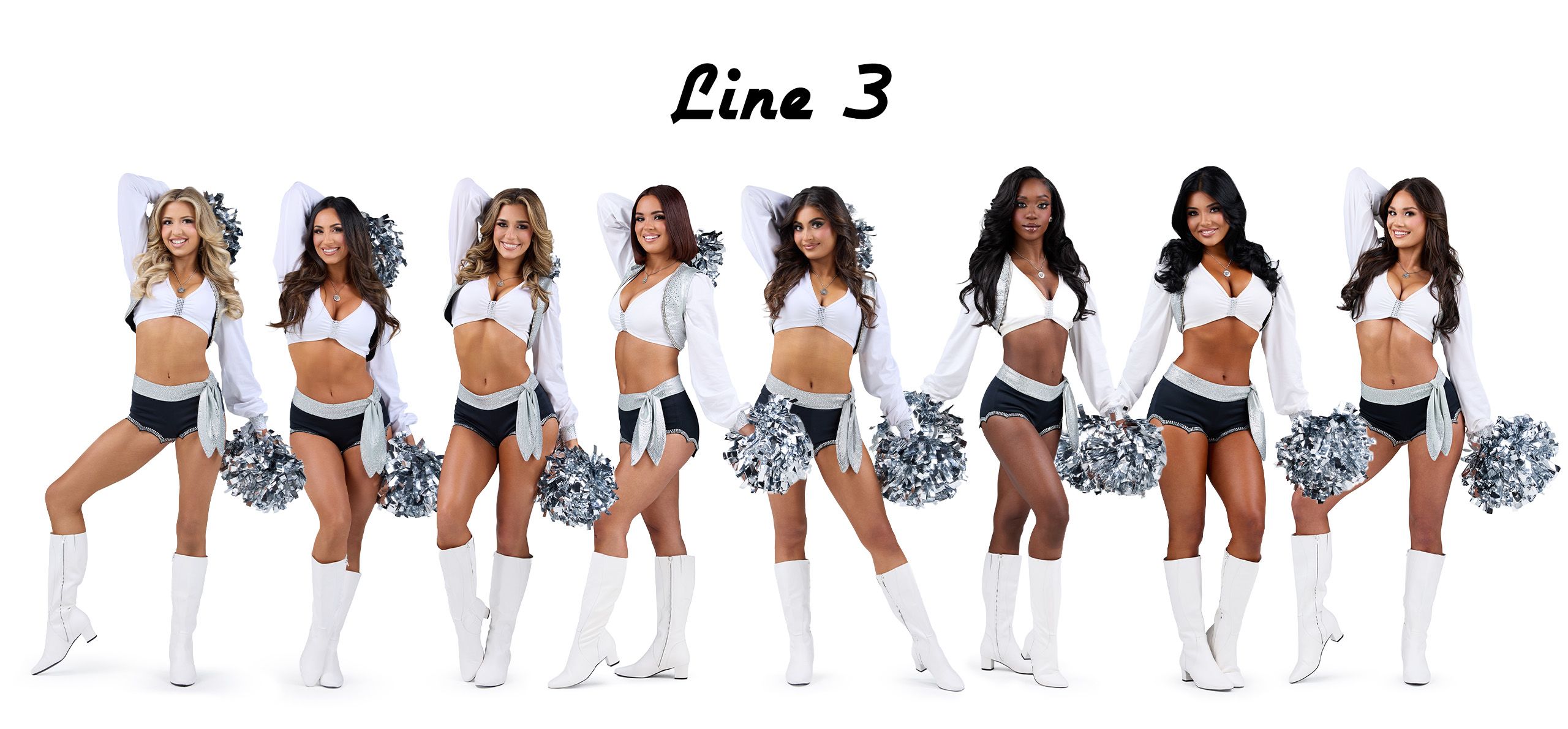 Line 3[84]